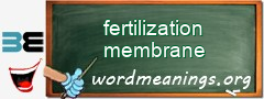 WordMeaning blackboard for fertilization membrane